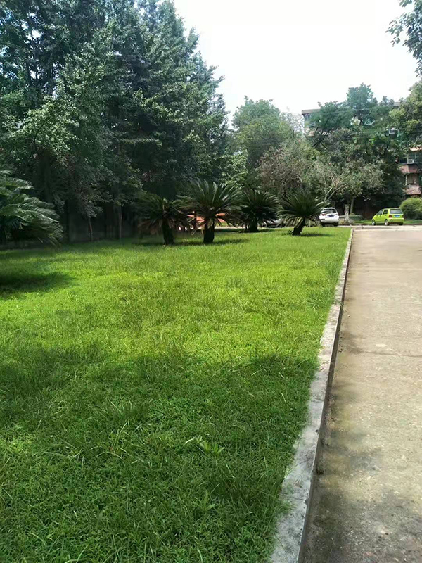 英亚手机在线登陆入口